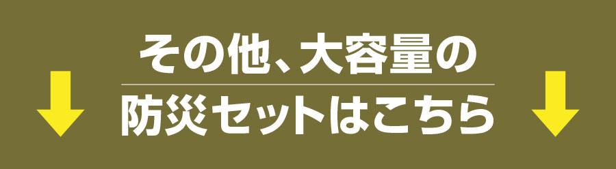 送料無料 防災セット 一人用 LIGHT