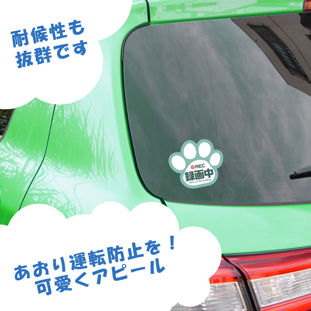 ドラレコ 録画中 ステッカー 肉球 シール ブルー 選べる3色 車 あおり