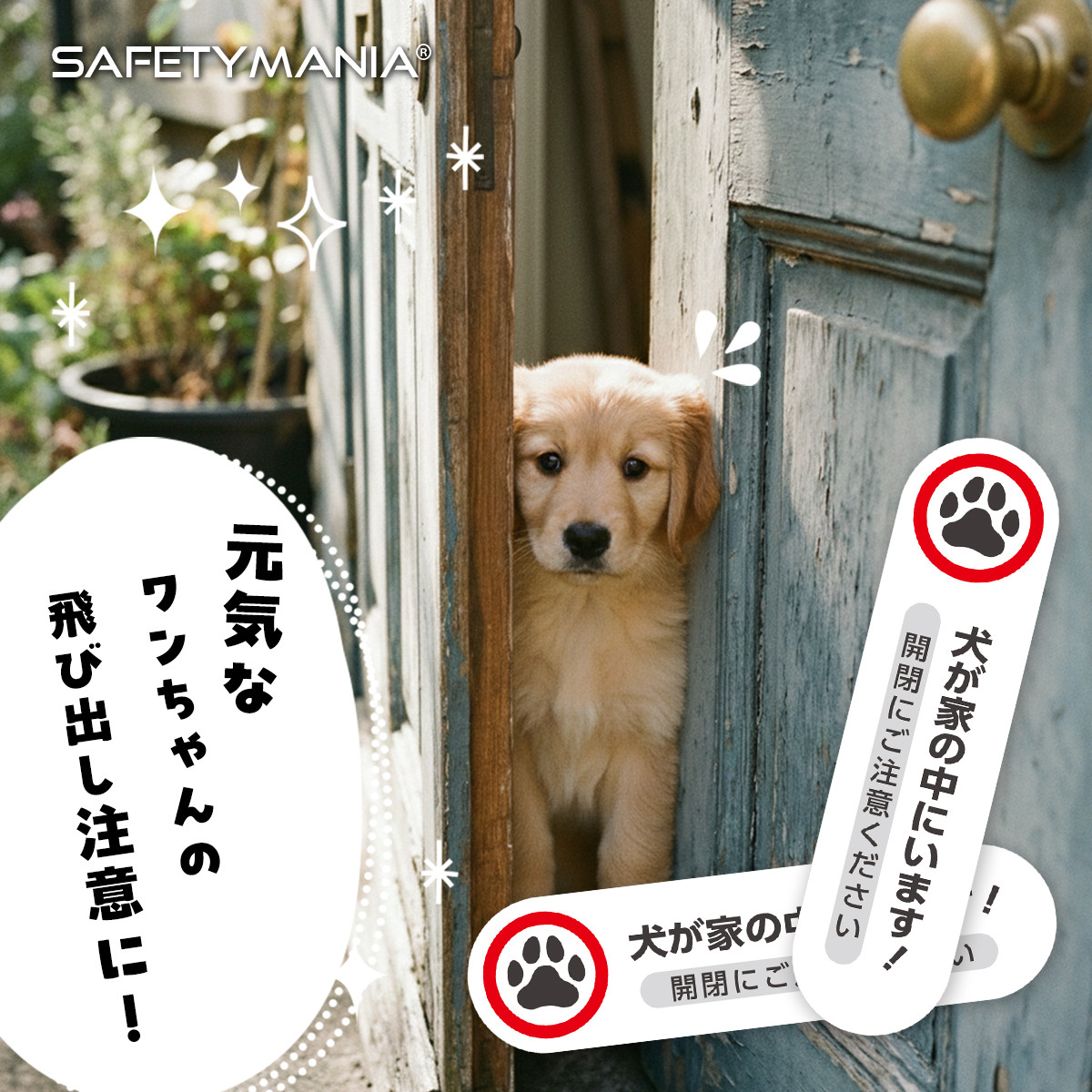犬がいます ステッカー 11.5x3cm 飛び出し注意 横長 ヨコ 玄関 窓