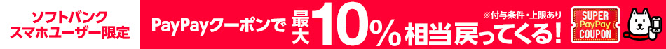 100円クーポン
