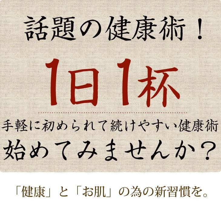 【レビューを書いて送料無料】さがん農園 八百屋さんの九州産ごぼう茶 ティーパック（2.5g×30包）健康茶 美容 ダイエット ごぼう茶 国産 送料無料