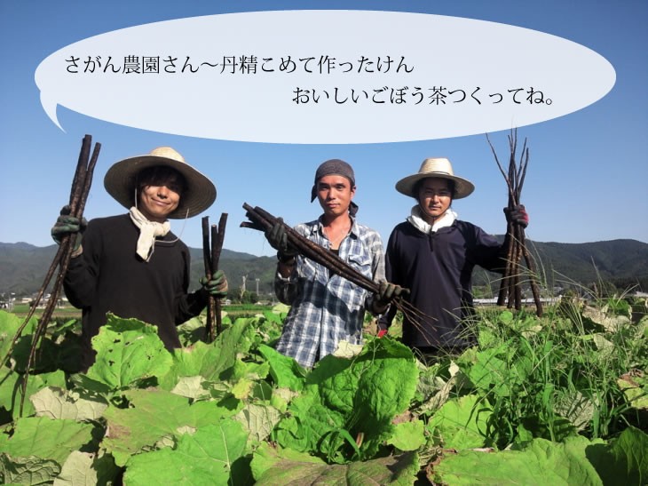 黒豆ごぼう茶 ティーパック 2.5g×30包 健康茶さがん農園｜sagan-nouen｜04