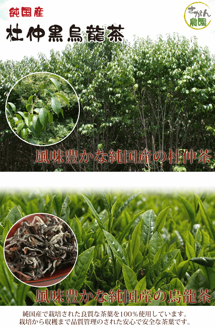 杜仲黒烏龍茶 国産 ティーパック 3.0g×15包 健康茶さがん農園 中国茶