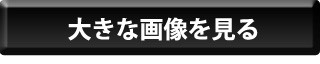 大きな画像を見る
