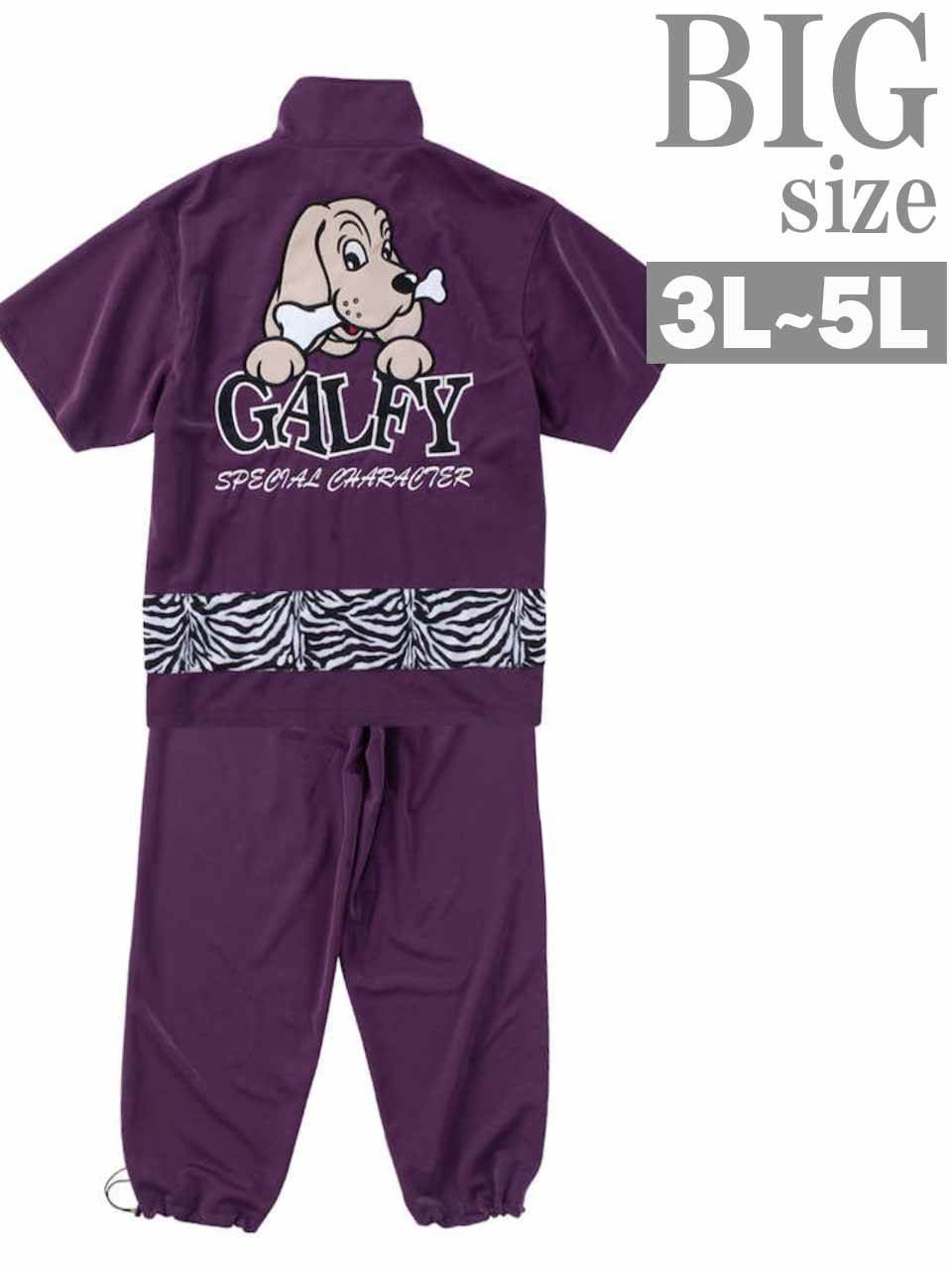 ガルフィー セットアップ（サイズ（S/M/L）：3L（XXL））のおすすめ