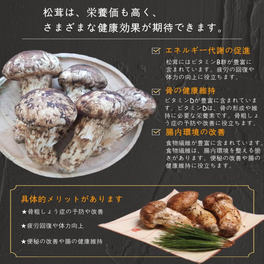 松茸 2024 中国産 【中つぼみ】500g 秋の味覚 鮮度がよく 香り豊かな 生松茸 プレゼント 秋のバーベキュー 【Bigイベント】 ハロウィン  パーティー秋祭り : s24010-500g : SAHARA - 通販 - Yahoo!ショッピング