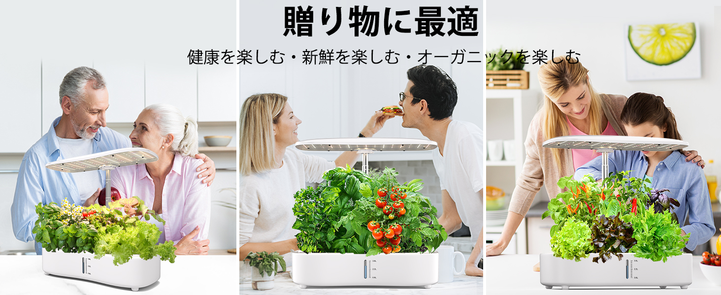 水耕栽培キット LED植物成長ライト スマートディスプレイ 簡単操作