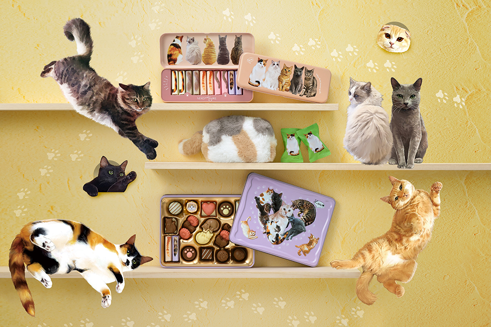 バレンタイン チョコ 2026 ねこみゃみれ もふにゃふポーチ（サバトラ