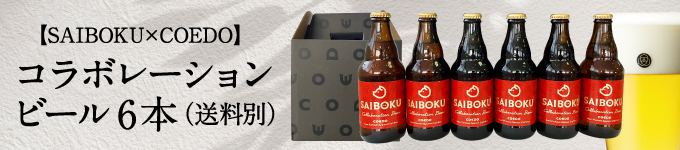 ビール6本セット
