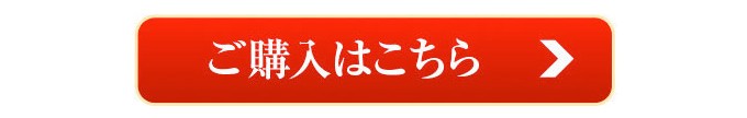 ご購入はこちら