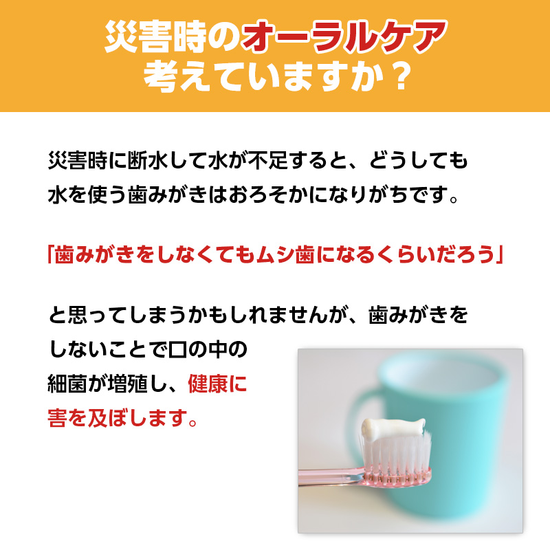 サンスター 長期保存用ガム・デンタルリンス 250ml : 防災のサイボウ
