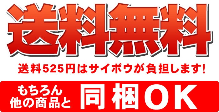 送料無料！