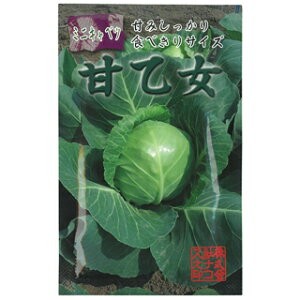 キャベツ知識の泉 菜園くらぶ 種と苗と家庭菜園の専門店