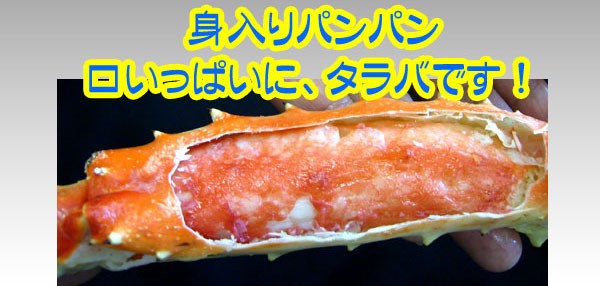 身入りパンパン　口いっぱいに、タラバです！