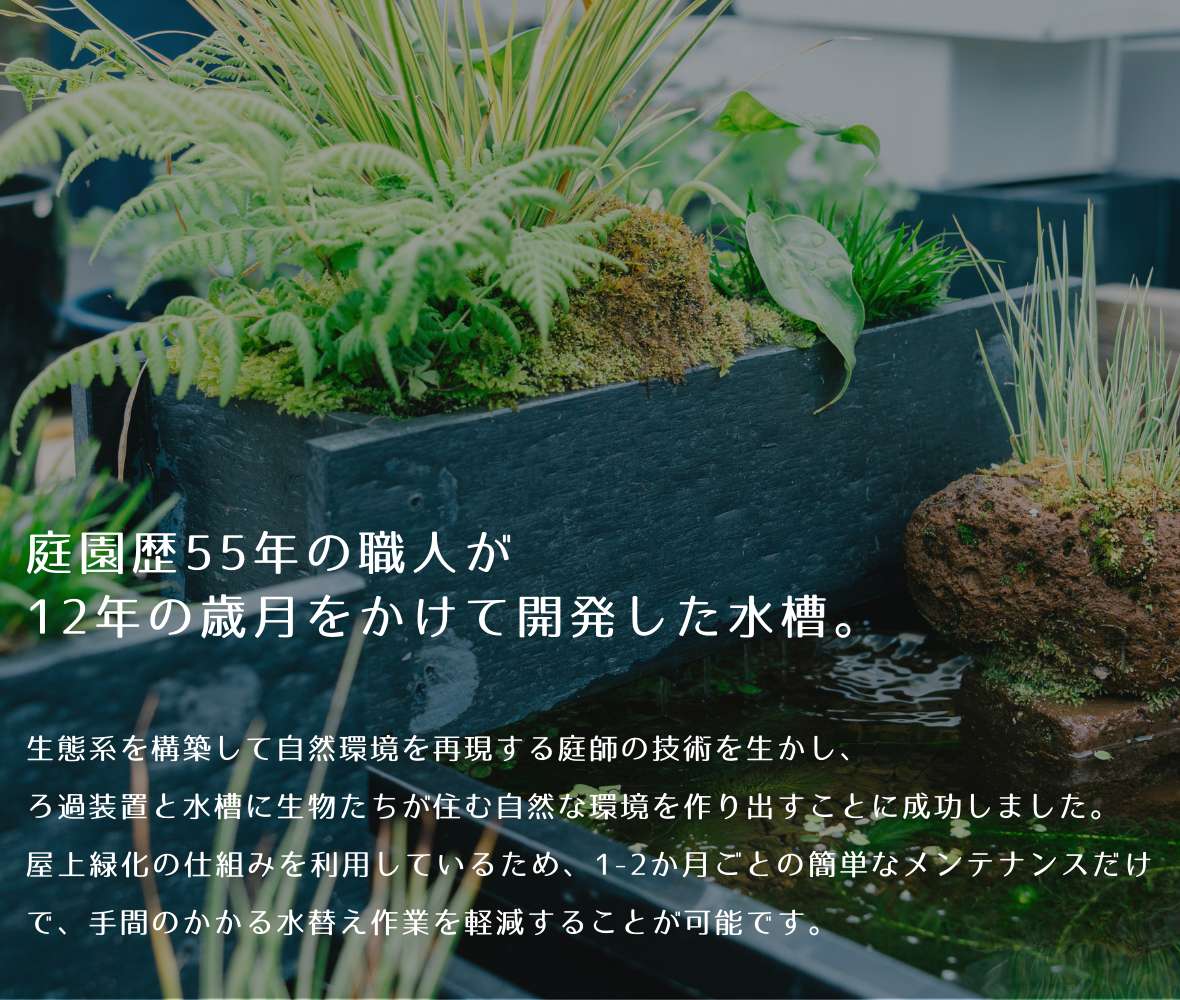 西条庭園 - Yahoo!ショッピング 西条庭園 - Yahoo!ショッピング