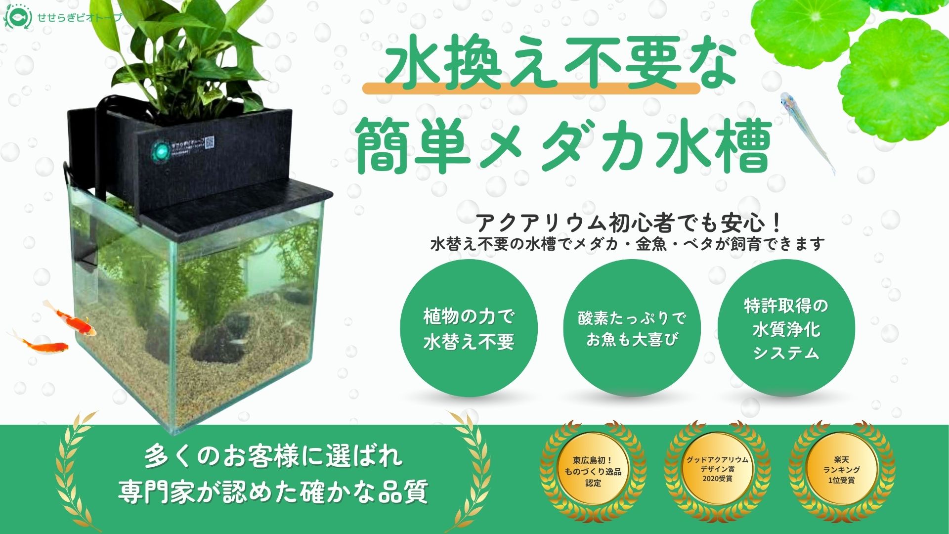 西条庭園 - Yahoo!ショッピング