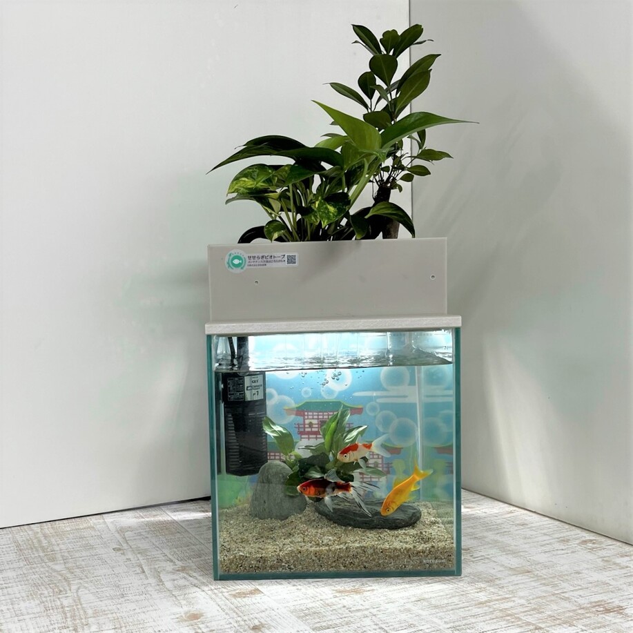 【送料無料】25cm型 基本＋照明水槽セット 金魚や熱帯魚の水槽にピッタリ、観葉植物が水をキレイにします！｜saijyou-teien｜03