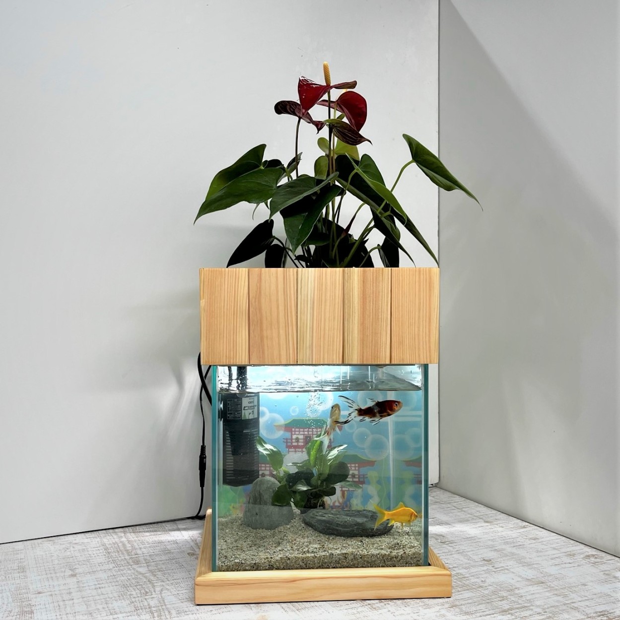送料無料】25cm型 基本＋照明＋木製枠台水槽セット 金魚や熱帯魚の水槽