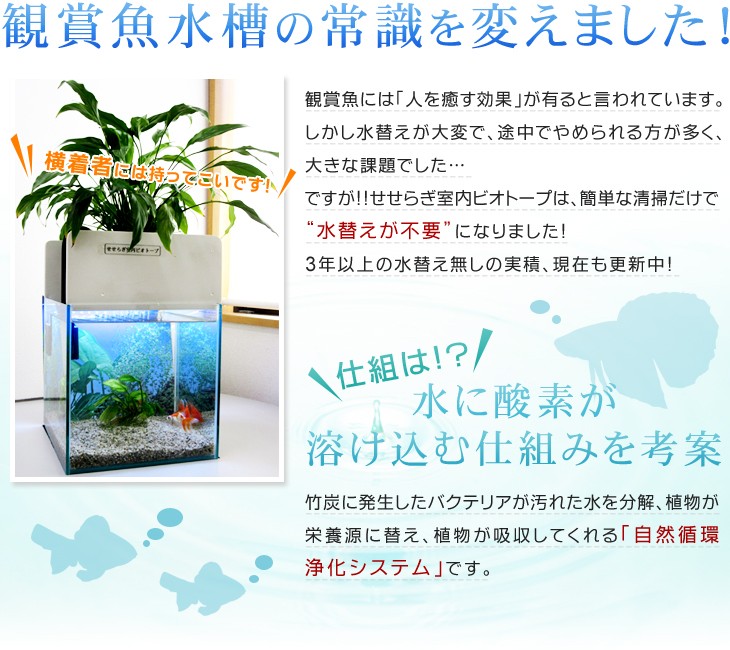 せせらぎビオトープ 水替え不要 基本水槽セット 西条庭園 メダカ 15l 熱帯魚 インテリア 25cm 照明なし 送料無料 まちかど情報室 癒やし Nhk おはよう日本 アクアポニクス 水槽用 観葉植物 水音 金魚