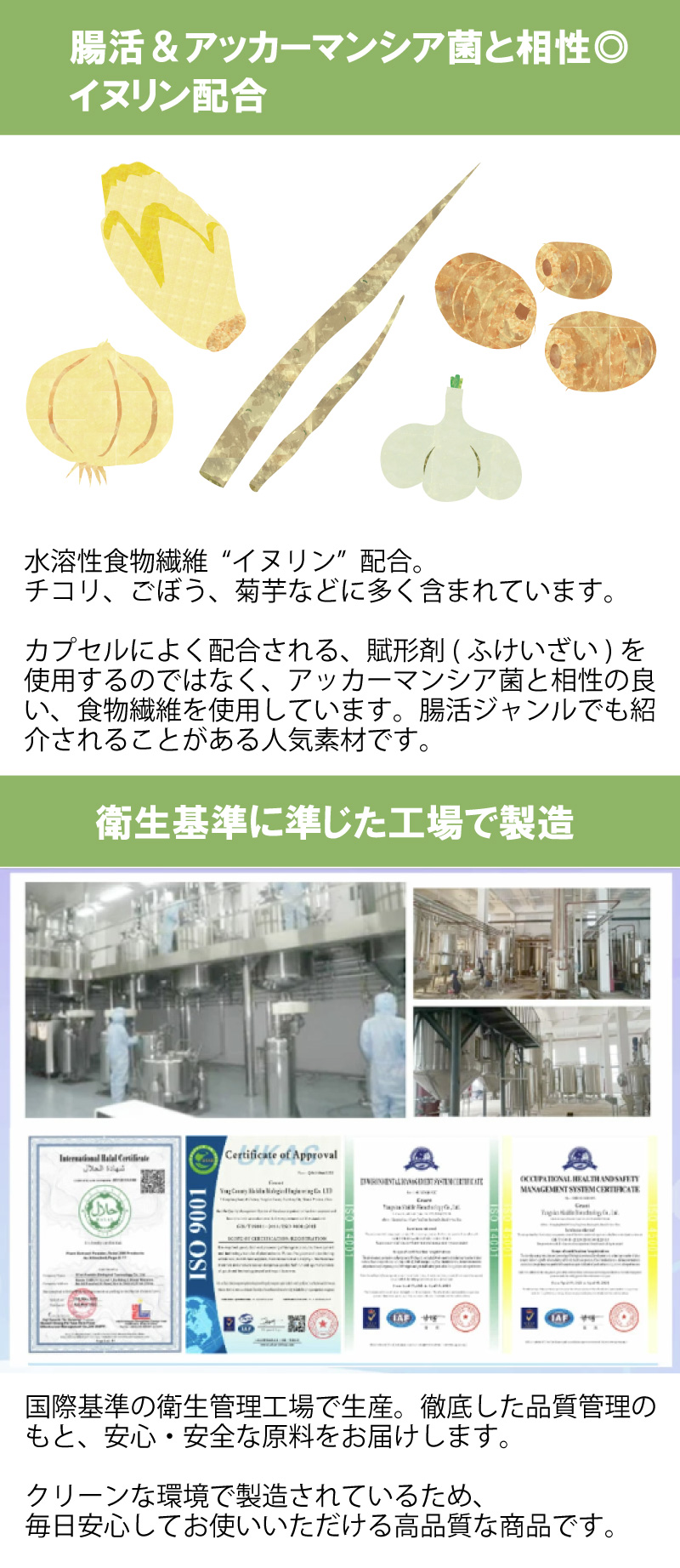 アッカーマンシア菌サプリ 画像2