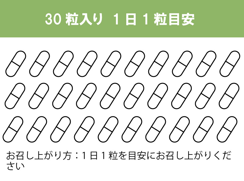 アッカーマンシア菌サプリ 画像3