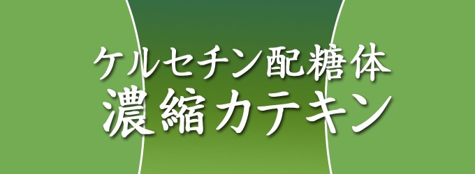 ケルセチン配糖体濃縮カテキン60g 話題の成分「ケルセチン配糖体」カテキン入り緑茶