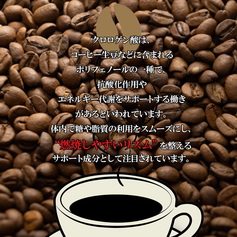 ダイエットコーヒー クロロゲン酸コーヒー ブラックコーヒー50g