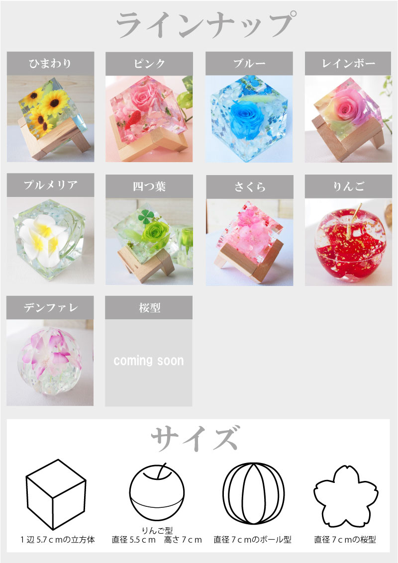 サイズ
