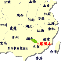 生産地：福建省安渓