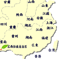 生産地：福建省安渓