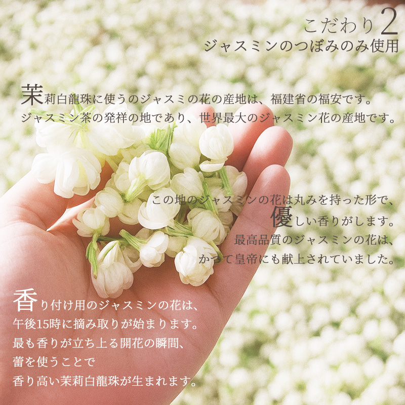 maturihakuryuuju800-3.jpg
