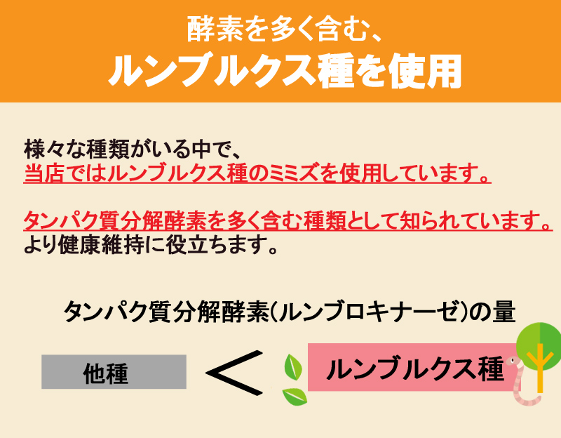 ミミズサプリメント30粒 乾燥ミミズ粉末 赤ミミズ サラサラ ルンブロキナーゼ LR末 ルンブルクスルベルス末 赤ミミズ酵素 血液 サプリ  動物性エキス 美容健康茶