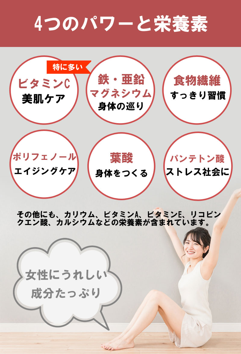 なつめ 山査子 ローズヒップ ハイビスカスティー30包 ノンカフェ
