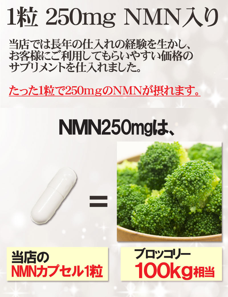 NMN10粒 2500mg エヌエムエヌ サプリメント サプリ エイジングケア カプセル 健康維持 ＮＭＮ 美容 送料無料 1粒250mg含有  :1519001001:彩香 - 通販 - Yahoo!ショッピング