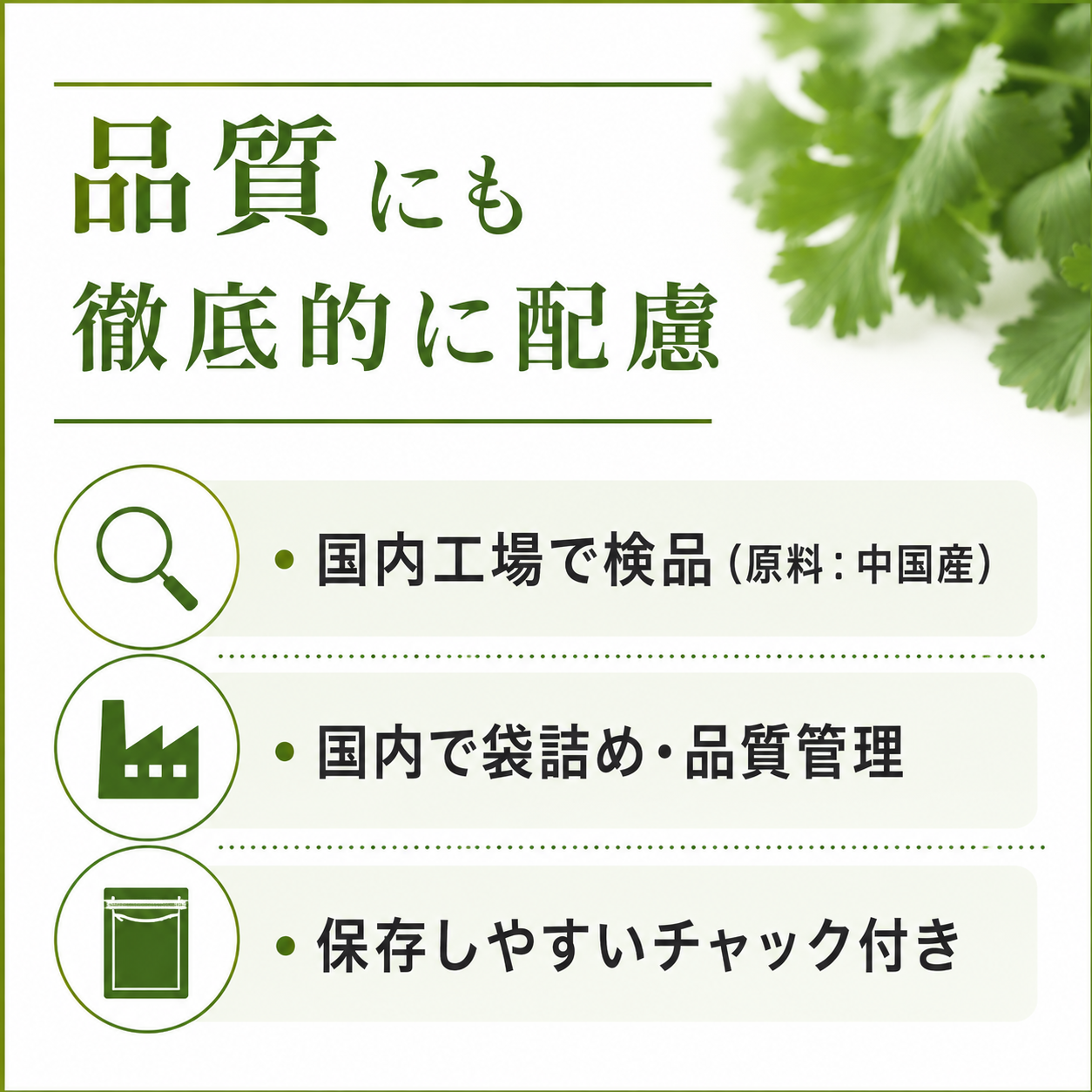 乾燥パクチー150g パクチー 香菜 シャンツァイ コリアンダー 送料無料