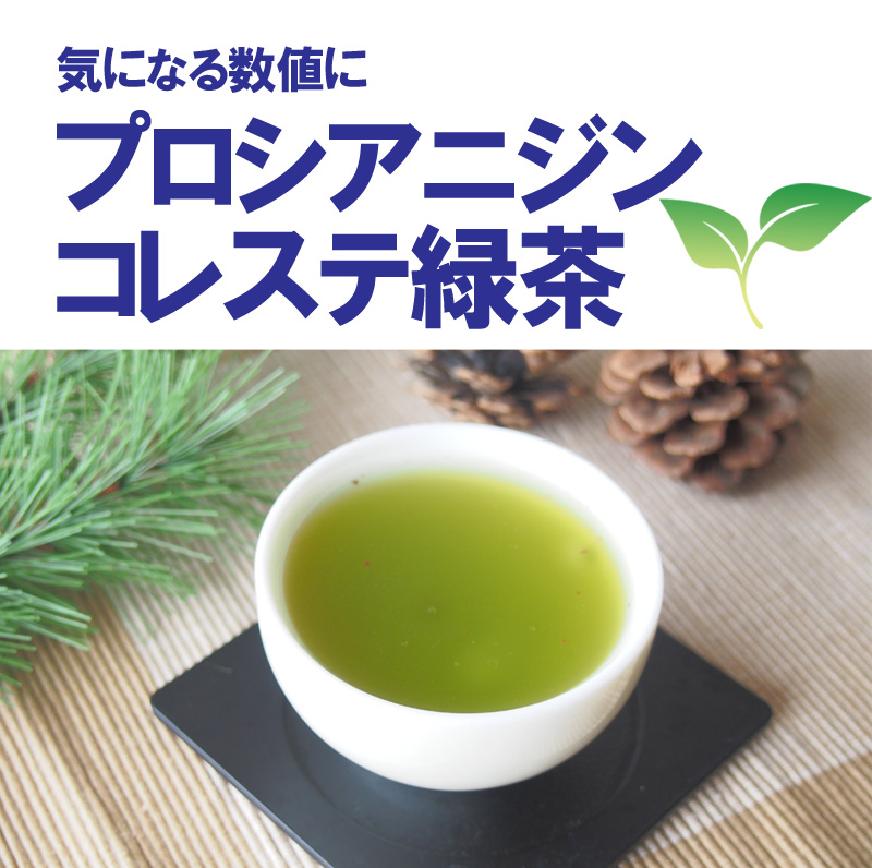 煎茶 緑茶 国産 60g - 茶