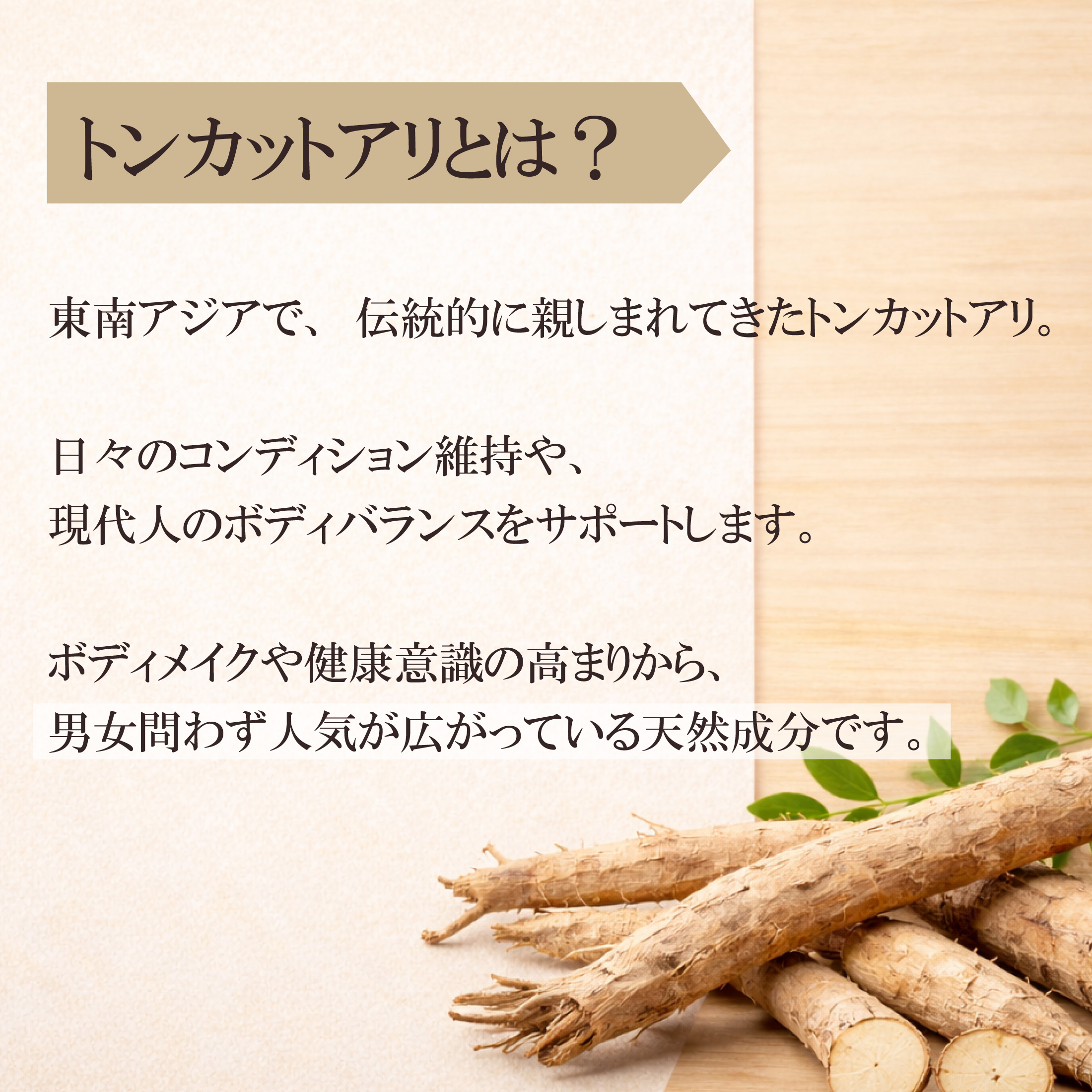 トンカットアリとは