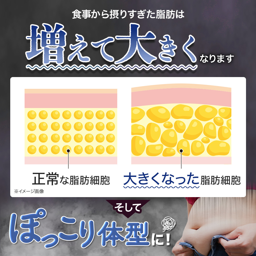 サン・クラルテ製薬 ダイエット サプリ【ラクヘル 体重・体脂肪対策 60