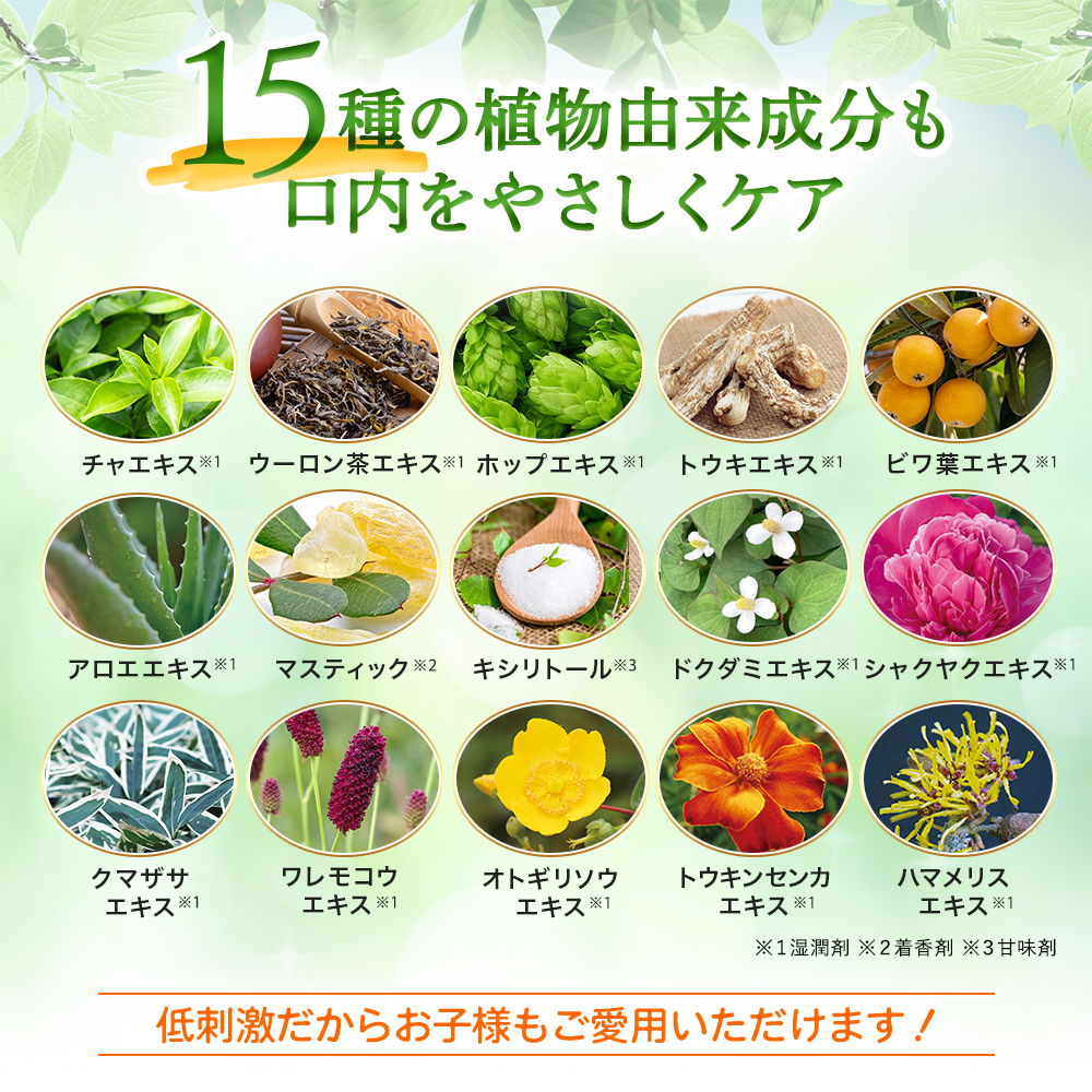 サン・クラルテ製薬 マウスウォッシュ 個包装 ゴッソトリノ 3箱 90包