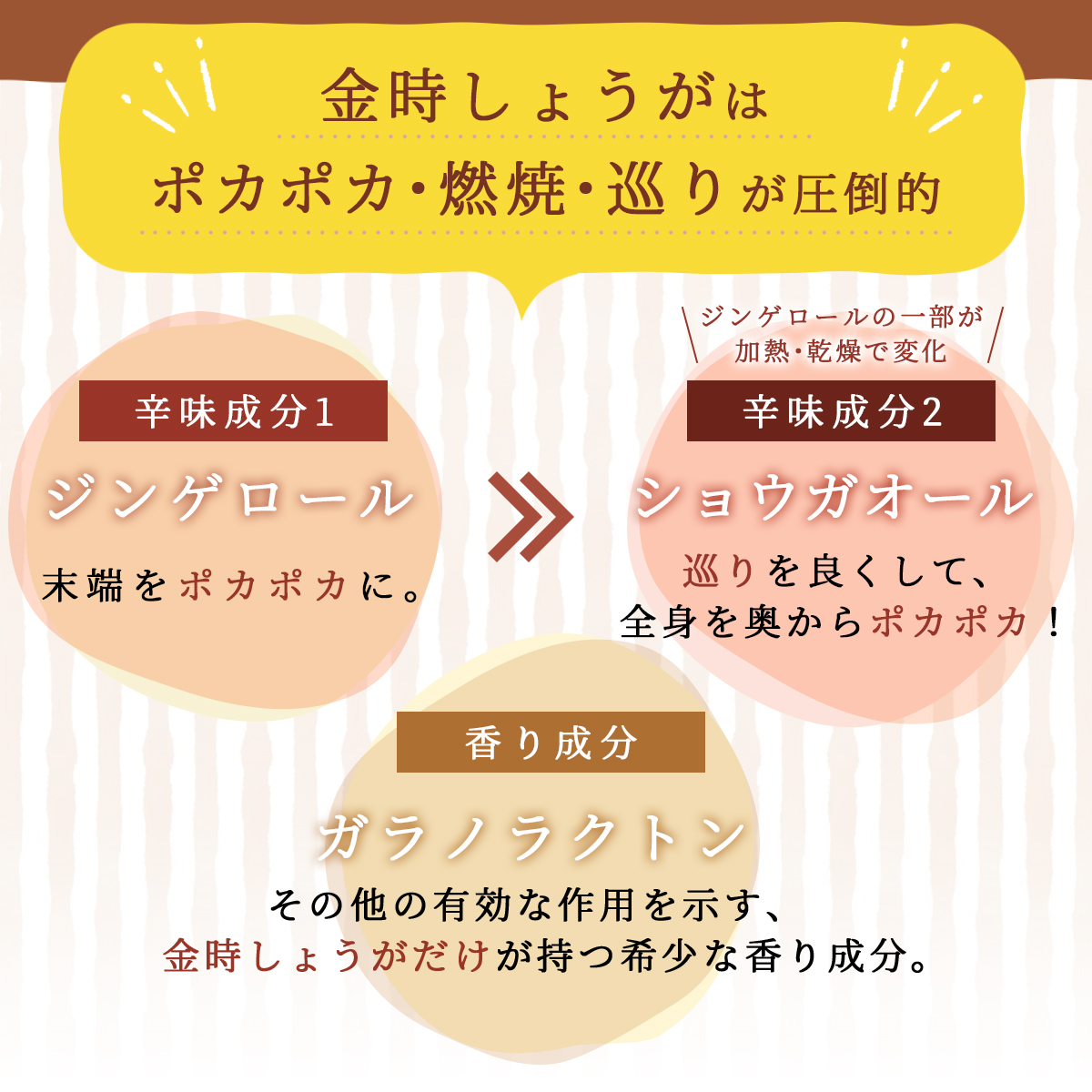 金時しょうが 粒タイプ 120粒 【送料無料】無添加・無農薬栽培された