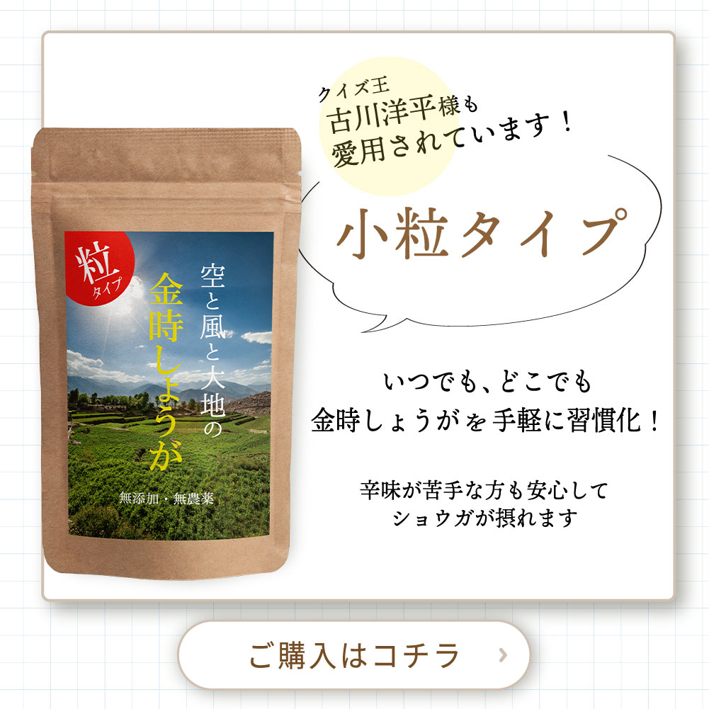 無農薬・無添加】蒸し金時しょうが 粉末 100g 【送料無料】 : sp002