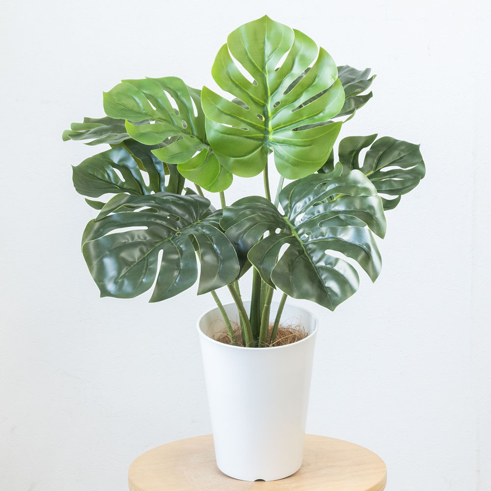 人工観葉植物 フェイクグリーン モンステラ プラ鉢ロングポット 高さ