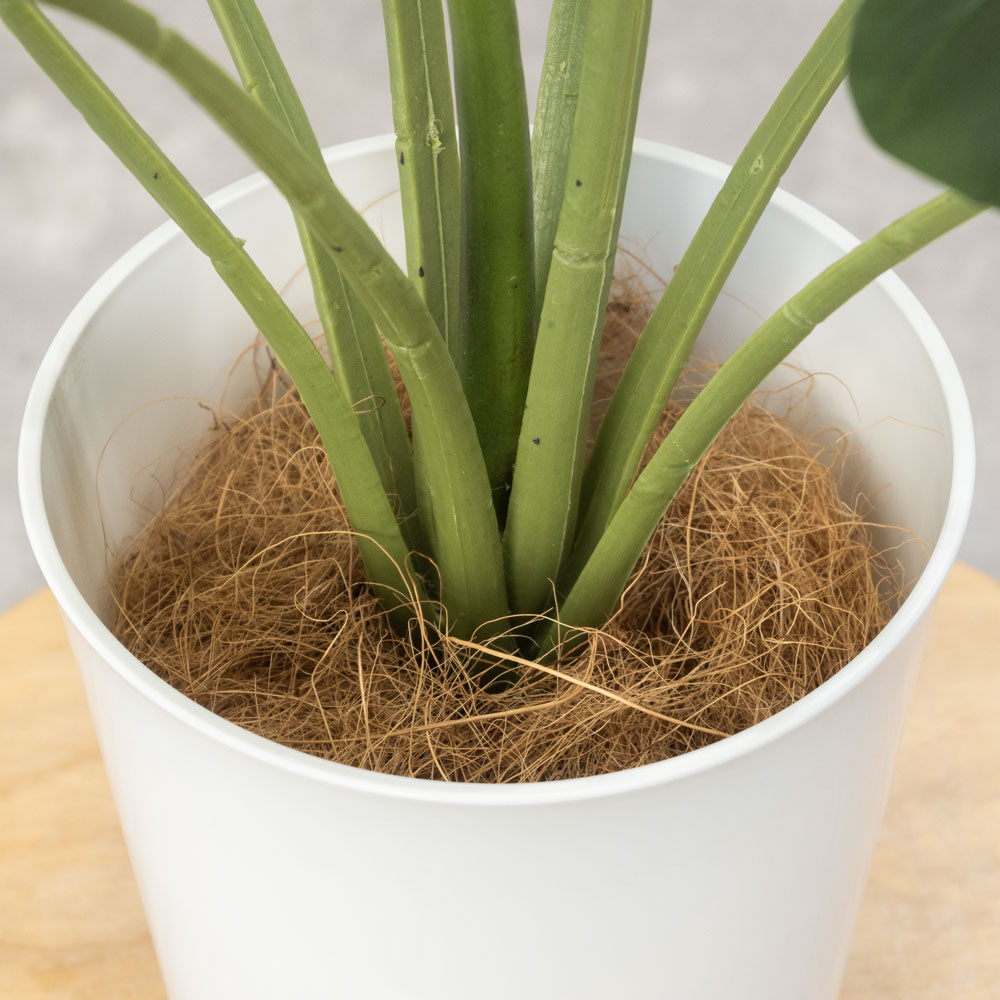 人工観葉植物 フェイクグリーン モンステラ プラ鉢ロングポット 高さ