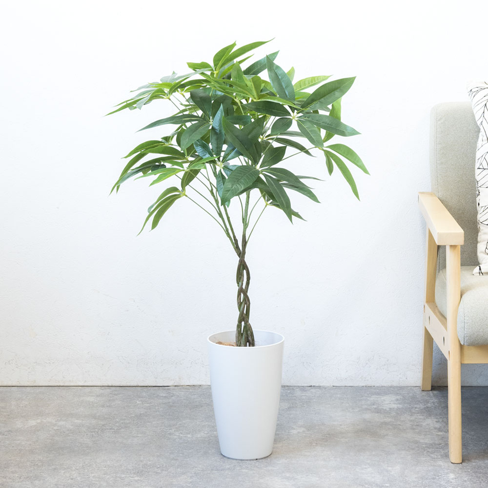 人工観葉植物 フェイクグリーン パキラ プラ鉢ロングポット 高さ90cm