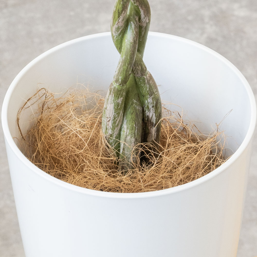 人工観葉植物 フェイクグリーン パキラ プラ鉢ロングポット 高さ90cm