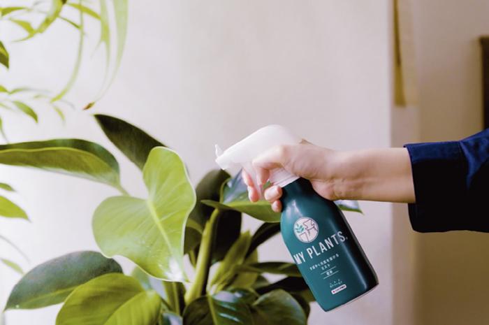 MY PLANTS すばやく元気を届けるミスト 肥料 スプレー 250ml KINCHO