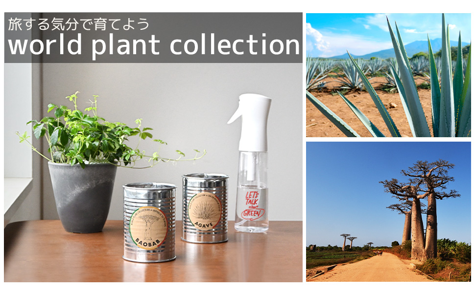 世界の植物 栽培セット world plant collection バオバブ