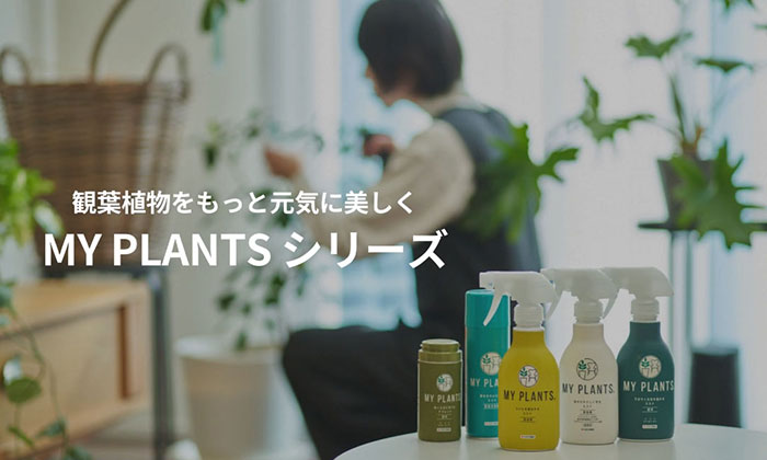 MY PLANTS 葉をきれいにするミスト 葉面洗浄剤 スプレー 220ml KINCHO