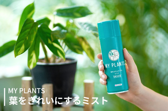 MY PLANTS 葉をきれいにするミスト 葉面洗浄剤 スプレー 220ml KINCHO
