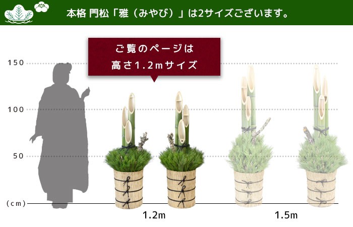 メイメイA門松一対高さ120センチ 楽天市場】迎春用門松 120-A 120cm お飾り お正月 門松 一対(2
